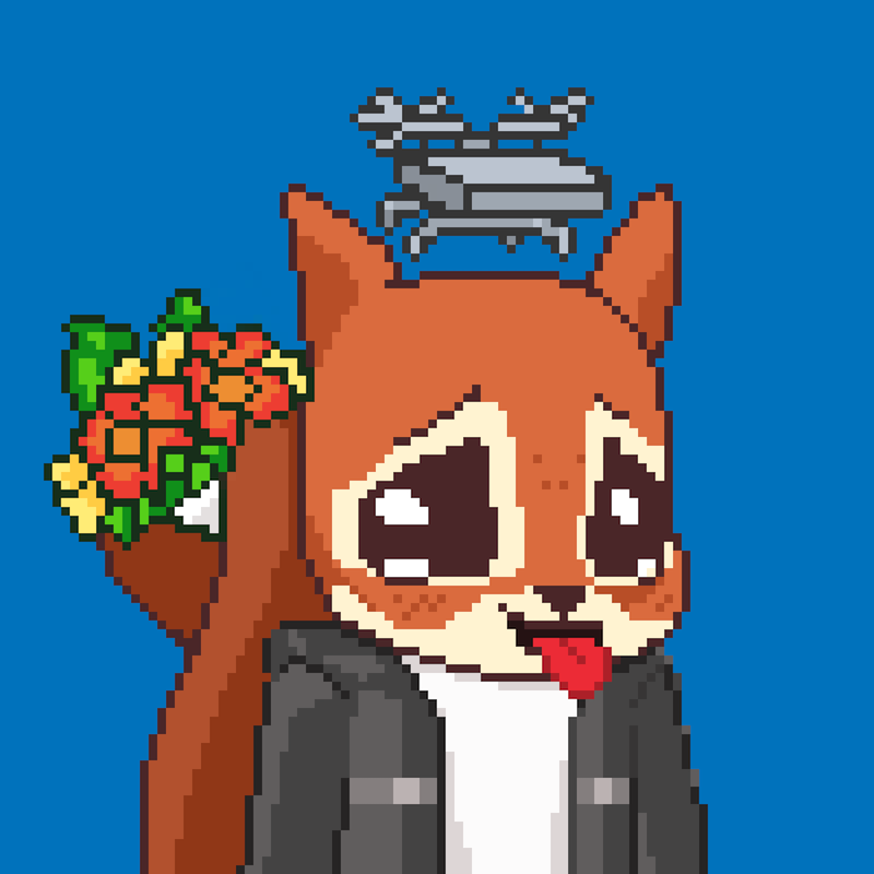 Pixel Squirrels #8171